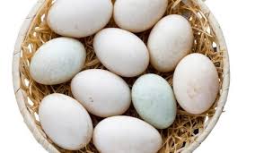Farm Fresh Duck Eggs